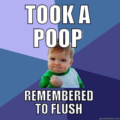 TOOK A POOP REMEMBERED TO FLUSH Success Kid