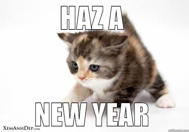 HAZ A NEW YEAR Misc