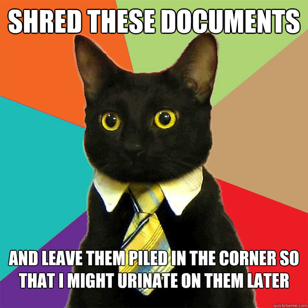 shred these documents and leave them piled in the corner so that I might urinate on them later  Business Cat