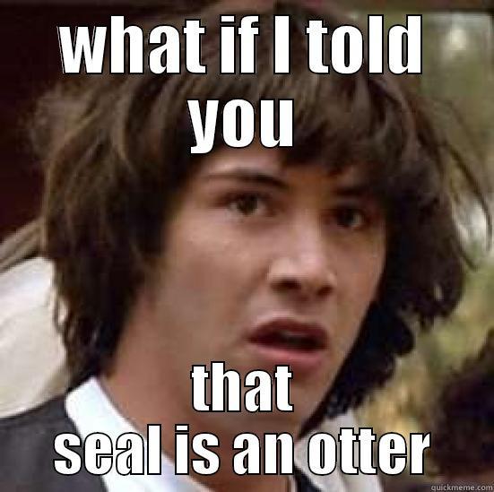 WHAT IF I TOLD YOU THAT SEAL IS AN OTTER conspiracy keanu