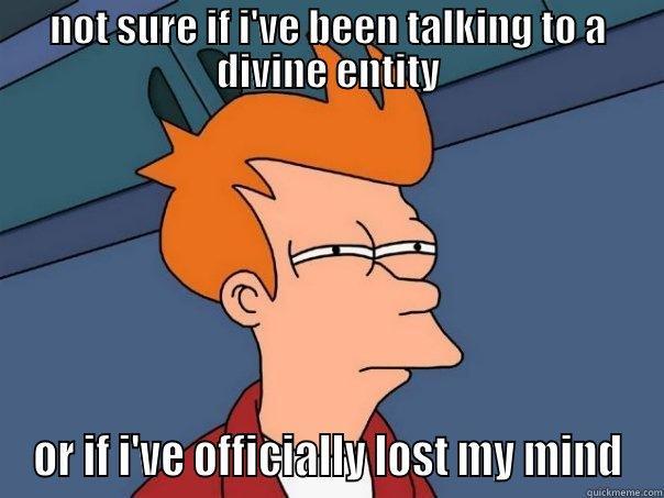 NOT SURE IF I'VE BEEN TALKING TO A DIVINE ENTITY OR IF I'VE OFFICIALLY LOST MY MIND Futurama Fry