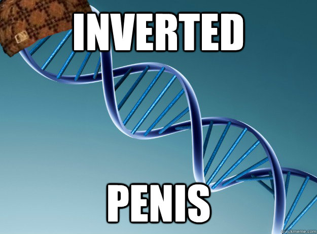 inverted penis - inverted penis  Scumbag Genetics