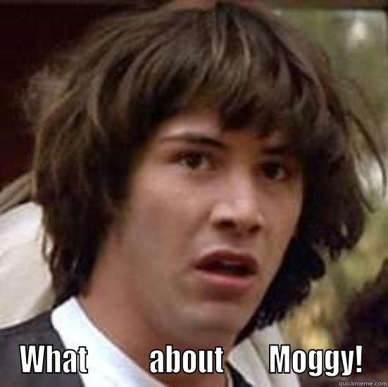 What about Moggy -  WHAT           ABOUT        MOGGY! conspiracy keanu