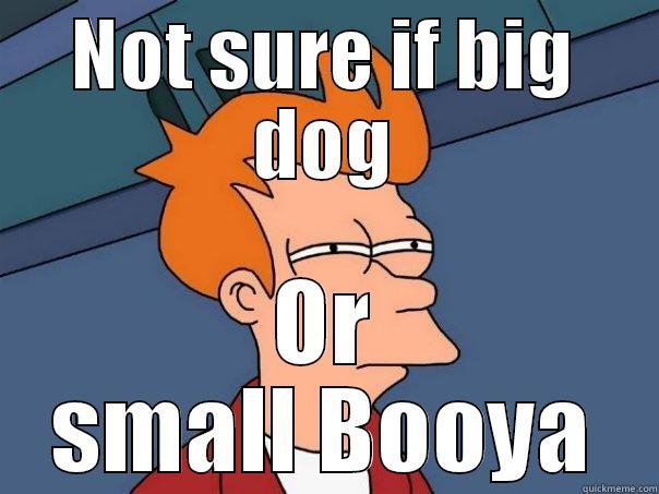 NOT SURE IF BIG DOG OR SMALL BOOYA Futurama Fry