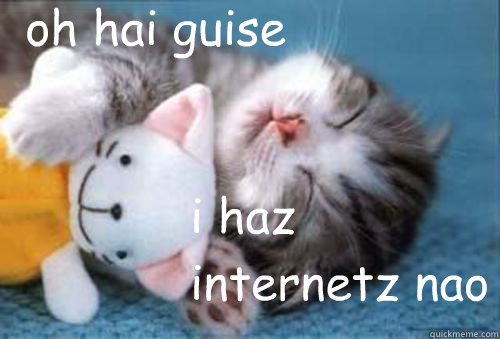 oh hai guise i haz internetz nao - oh hai guise i haz internetz nao  I haz internetz cat