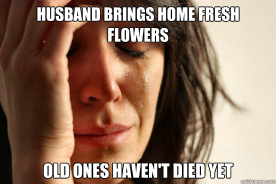 Husband brings home fresh flowers old ones haven't died yet  First World Problems