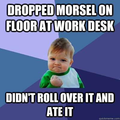 Dropped morsel on floor at work desk Didn't roll over it and ate it - Dropped morsel on floor at work desk Didn't roll over it and ate it  Success Kid