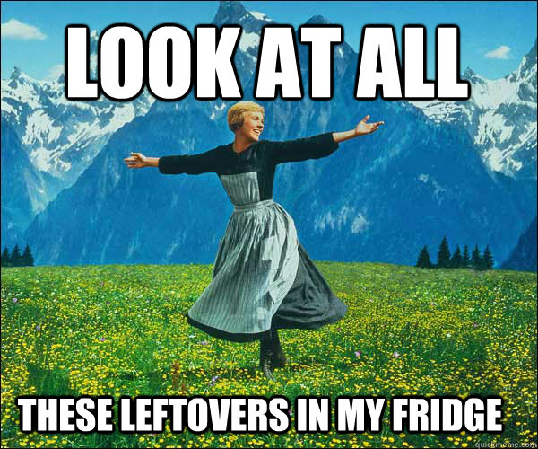 look at all   these leftovers in my fridge - look at all   these leftovers in my fridge  Sound of Music