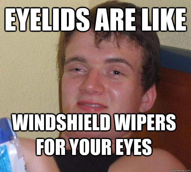 Eyelids are like windshield wipers for your eyes  10 Guy