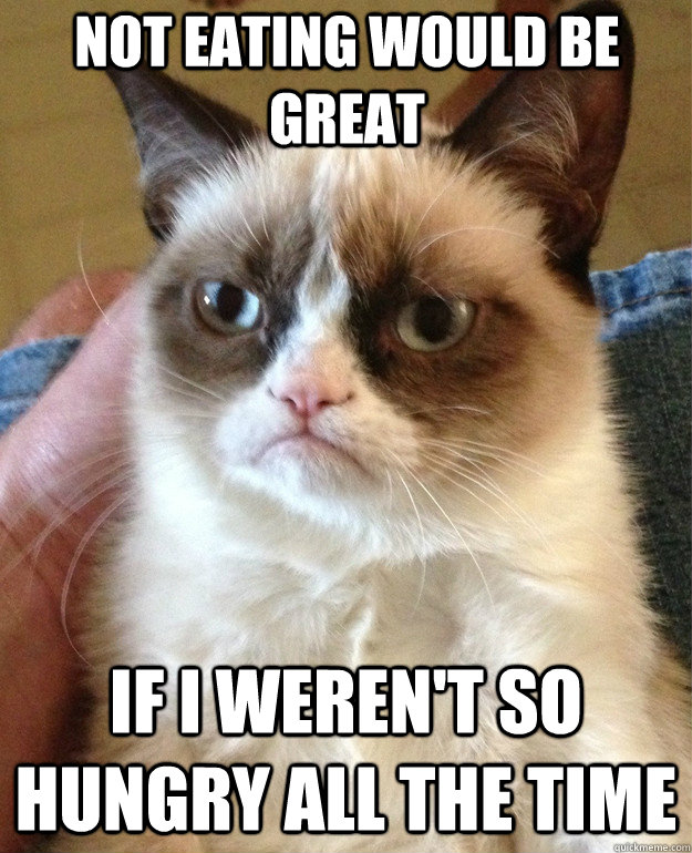 NOT EATING WOULD BE GREAT IF I WEREN'T SO HUNGRY ALL THE TIME  Grumpy Cat