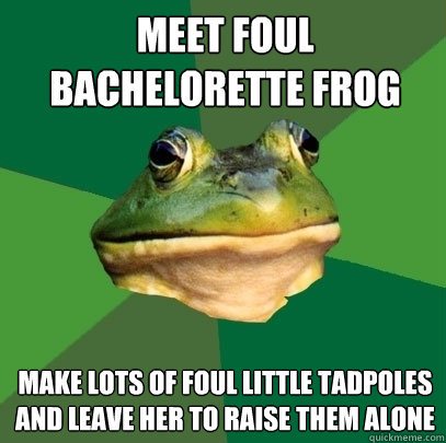 meet foul bachelorette frog make lots of foul little tadpoles and leave her to raise them alone  Foul Bachelor Frog