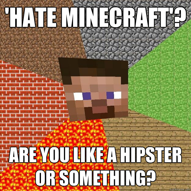 'Hate minecraft'? are you like a hipster or something?  Minecraft