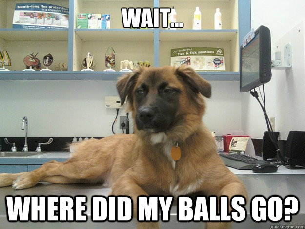 Wait... Where did my balls go?  