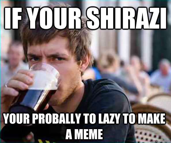 If your Shirazi your probally to lazy to make a meme  Lazy College Senior