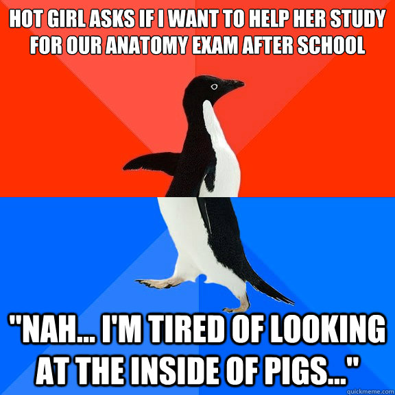 Hot girl asks if I want to help her study for our anatomy exam after school 