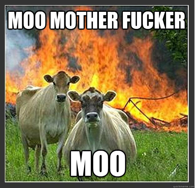 MOO MOTHER FUCKER MOO  Evil cows