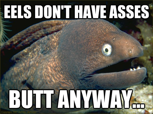 eels don't have asses butt anyway...  Bad Joke Eel