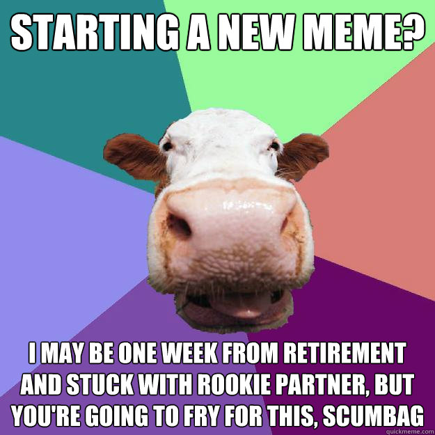 STARTING A NEW MEME? I MAY BE ONE WEEK FROM RETIREMENT AND STUCK WITH ROOKIE PARTNER, BUT YOU'RE GOING TO FRY FOR THIS, SCUMBAG  Meme Police Cow