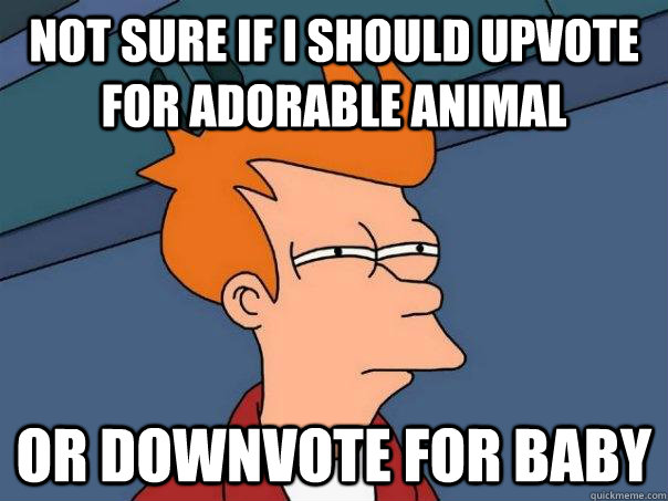 not sure if i should upvote for adorable animal or downvote for baby - not sure if i should upvote for adorable animal or downvote for baby  Futurama Fry