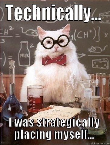 TECHNICALLY... I WAS STRATEGICALLY PLACING MYSELF... Chemistry Cat