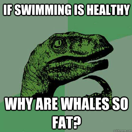 if swimming is healthy why are whales so fat? - if swimming is healthy why are whales so fat?  Philosoraptor