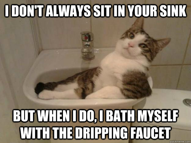 I don't always sit in your sink But when I do, I bath myself with the dripping faucet - I don't always sit in your sink But when I do, I bath myself with the dripping faucet  Misc