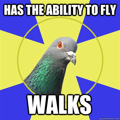 Has the ability to fly WALKS  Religion Pigeon