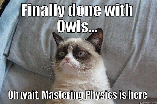 FINALLY DONE WITH OWLS... OH WAIT. MASTERING PHYSICS IS HERE Grumpy Cat