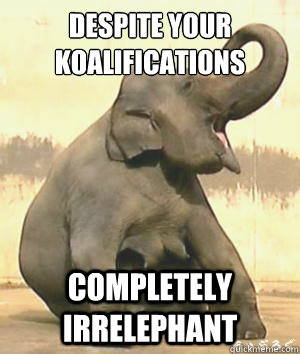 Despite your koalifications completely Irrelephant  Irrelephant