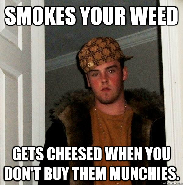 Smokes your weed Gets cheesed when you don't buy them munchies.  Scumbag Steve