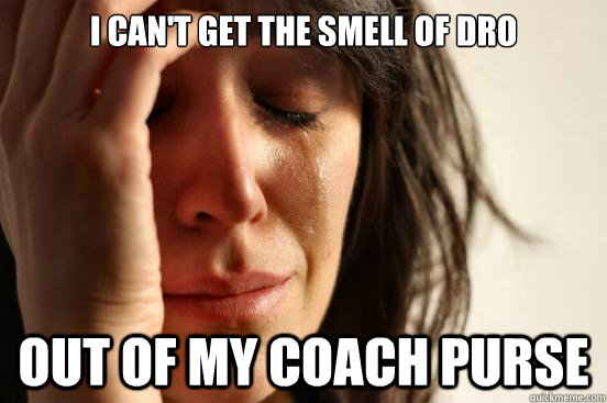 I can't get the smell of dro out of my Coach purse  First World Problems