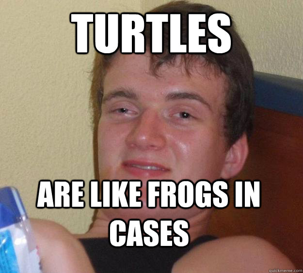 turtles are like frogs in cases  10 Guy