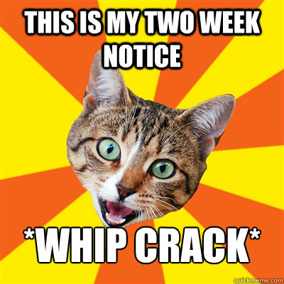 This is my two week notice *Whip crack* - This is my two week notice *Whip crack*  Bad Advice Cat