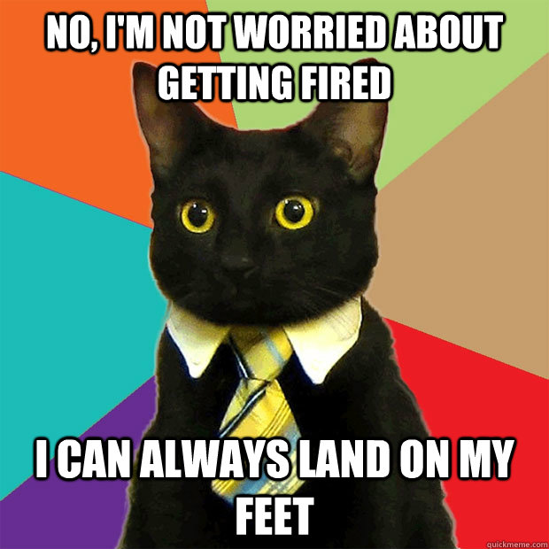 No, I'm not worried about getting fired I can always land on my feet  Business Cat