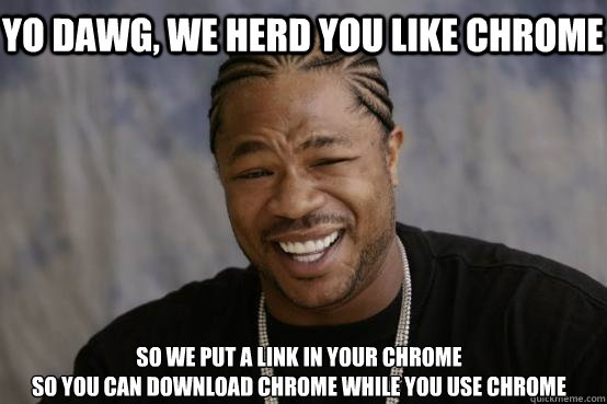 Yo Dawg, we herd you like chrome so we put a link in your chrome
so you can download chrome while you use chrome  YO DAWG