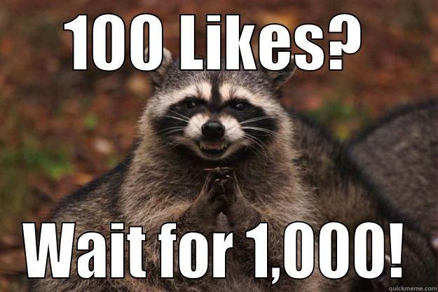 100 LIKES? WAIT FOR 1,000! Evil Plotting Raccoon