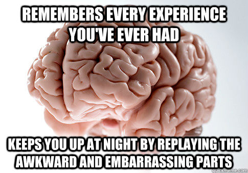 Remembers every experience you've ever had Keeps you up at night by replaying the awkward and embarrassing parts  Scumbag Brain