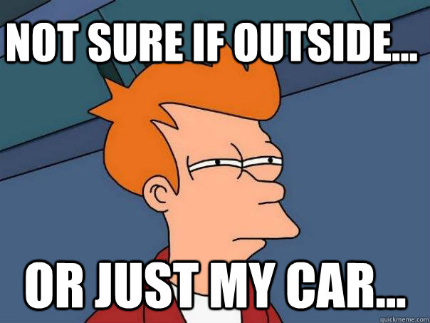 Not sure if outside... Or just my car...  Futurama Fry