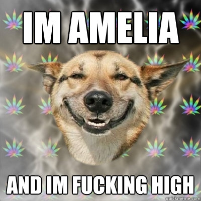 Im Amelia And Im Fucking High  Stoner Dog