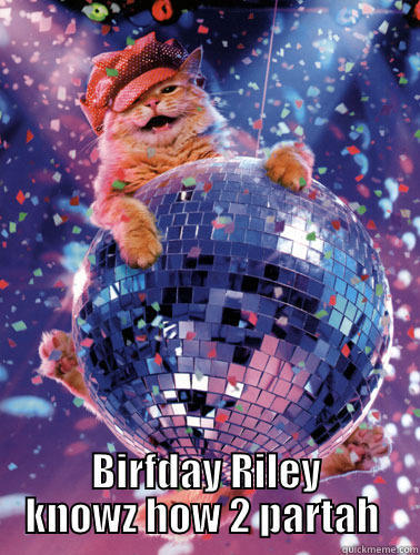  BIRFDAY RILEY KNOWZ HOW 2 PARTAH  Misc