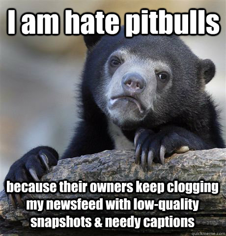 I am hate pitbulls because their owners keep clogging my newsfeed with low-quality snapshots & needy captions  Confession Bear