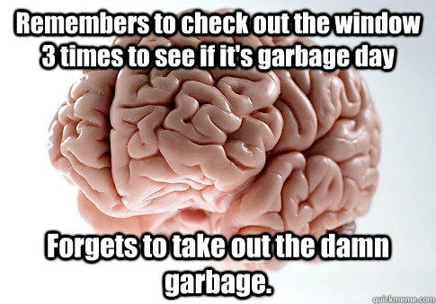 Remembers to check out the window 3 times to see if it's garbage day Forgets to take out the damn garbage.   Scumbag Brain