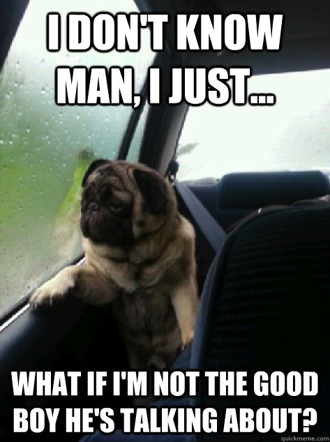 I don't know man, I just... what if I'm not the good boy he's talking about? - I don't know man, I just... what if I'm not the good boy he's talking about?  Introspective Pug