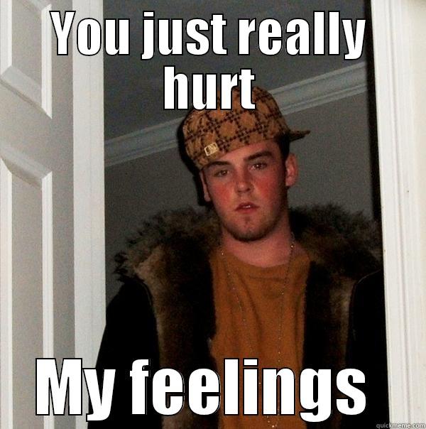 YOU JUST REALLY HURT MY FEELINGS  Scumbag Steve