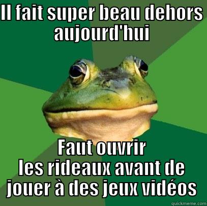 IL FAIT SUPER BEAU DEHORS AUJOURD'HUI FAUT OUVRIR LES RIDEAUX AVANT DE JOUER À DES JEUX VIDÉOS Foul Bachelor Frog