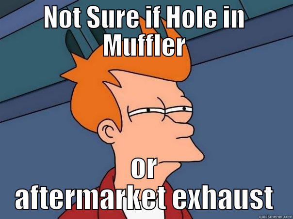 NOT SURE IF HOLE IN MUFFLER OR AFTERMARKET EXHAUST Futurama Fry