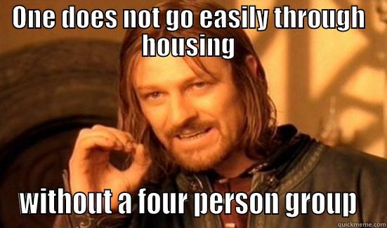 ONE DOES NOT GO EASILY THROUGH  HOUSING  WITHOUT A FOUR PERSON GROUP  Boromir