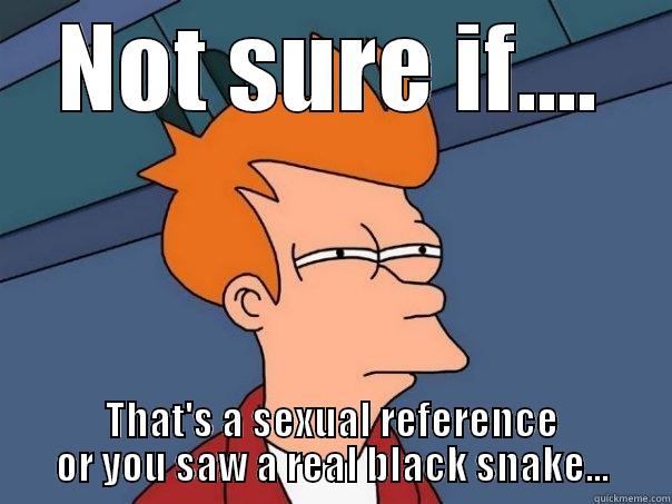 NOT SURE IF.... THAT'S A SEXUAL REFERENCE OR YOU SAW A REAL BLACK SNAKE... Futurama Fry