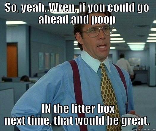 SO, YEAH, WREN, IF YOU COULD GO AHEAD AND POOP  IN THE LITTER BOX NEXT TIME, THAT WOULD BE GREAT. Office Space Lumbergh