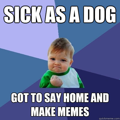 Sick as a dog Got to say home and make memes - Sick as a dog Got to say home and make memes  Success Kid